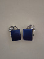 Lucite or Lapis earrings