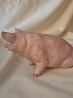Royal Crown Pig