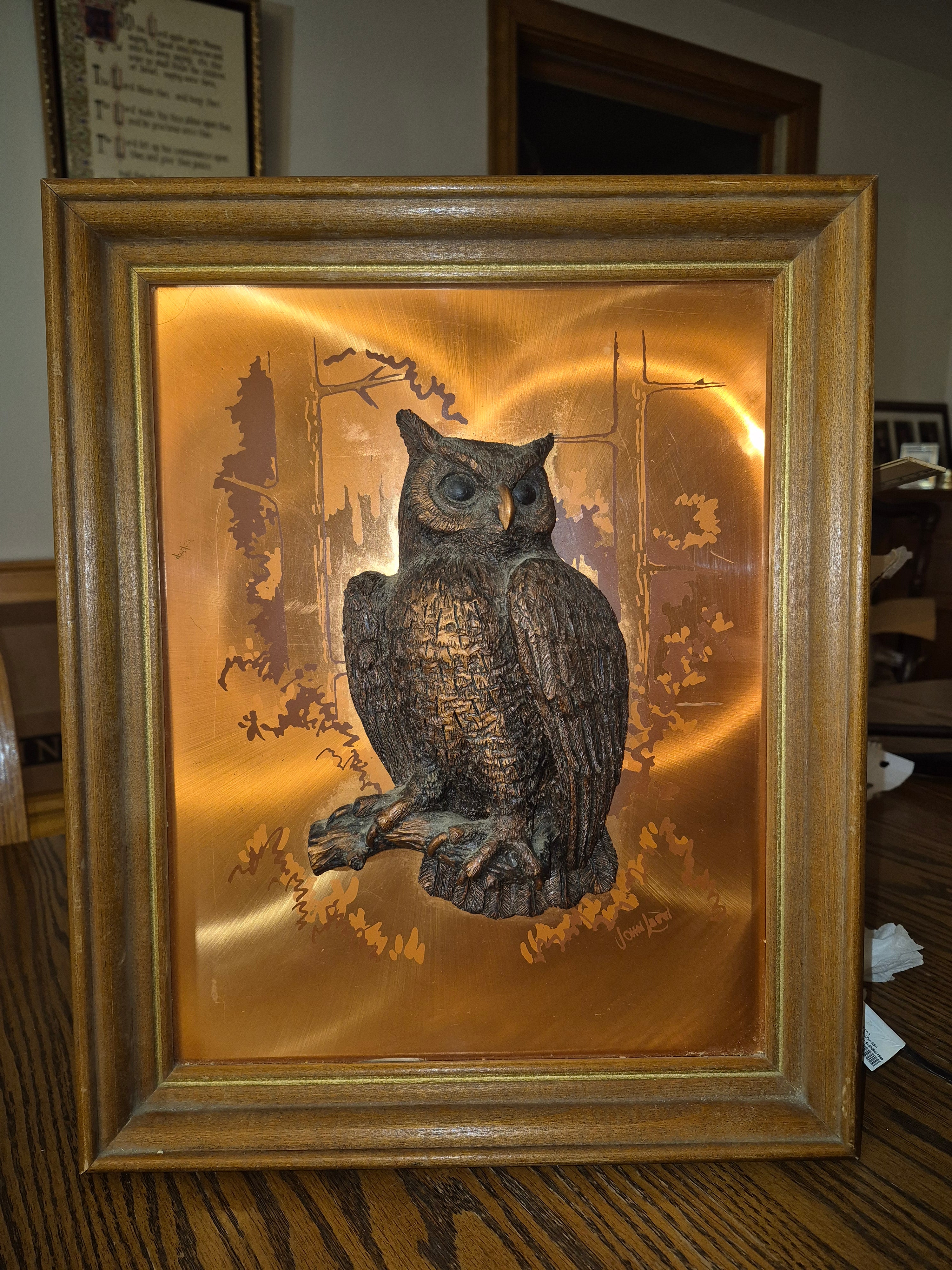 John Louw 3D raised owl, framed.